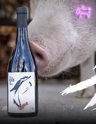 Pinot Noir, Pigcasso (Franschhoek Western Cape), 2021 - Boursot Wines