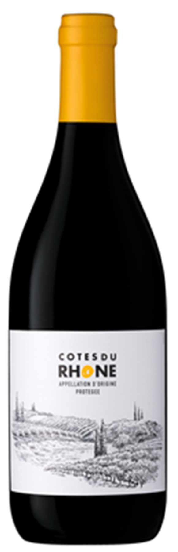 Côtes du Rhône (Rhône)